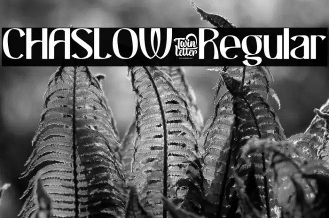 CHASLOW-Regular Caratteri examples