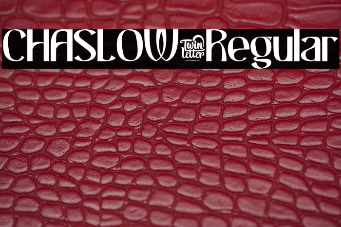 CHASLOW-Regular Example 2