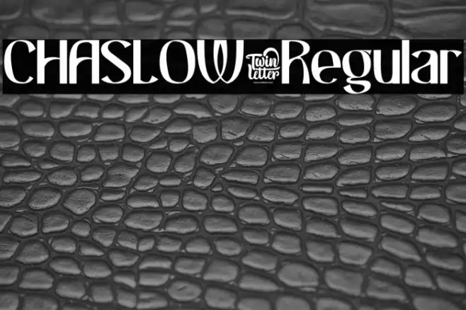 CHASLOW-Regular Caratteri examples