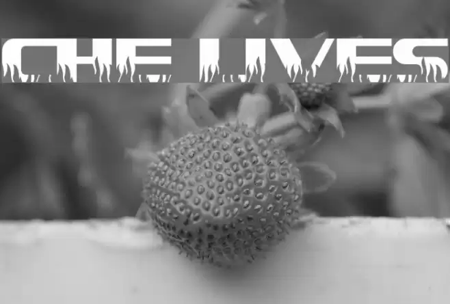 CHE LIVES フォント examples