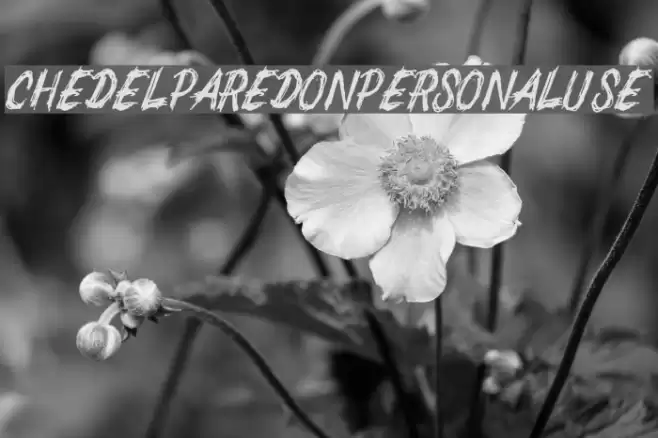 CHEDELPAREDON PERSONAL USE Font examples