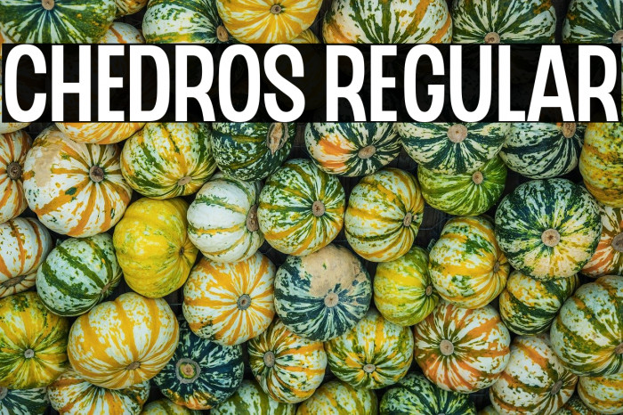 CHEDROS Regular Example 2