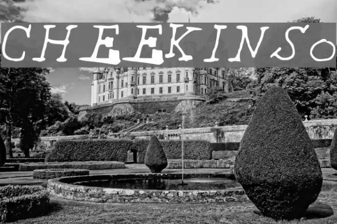 CHEEKINSo Font examples