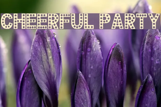 CHEERFUL PARTY Example 1