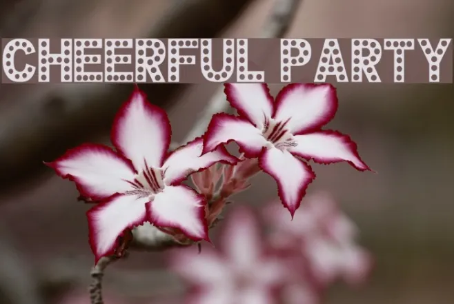 CHEERFUL PARTY Example 2