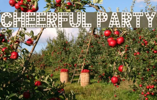 CHEERFUL PARTY Example 3