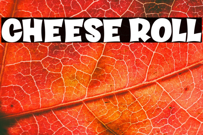 CHEESE ROLL Example 1