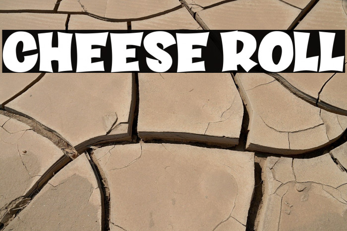 CHEESE ROLL Example 2