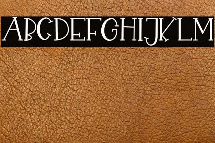 CHEKIDOT-Regular Example 1