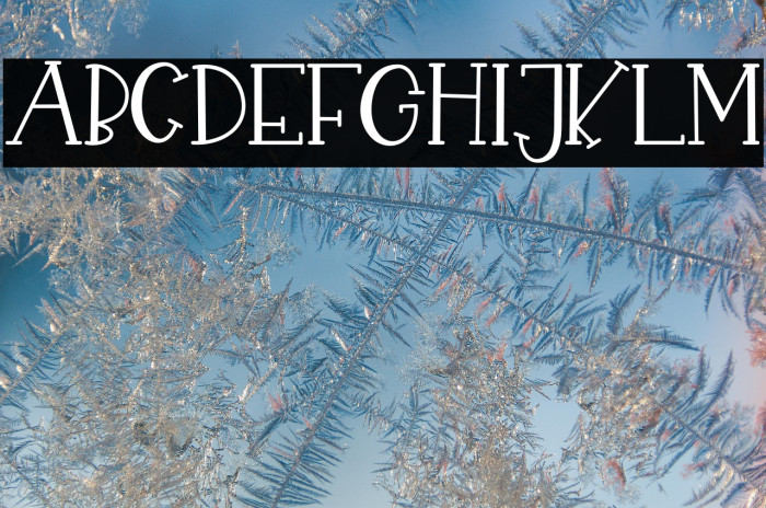 CHEKIDOT-Regular Example 2