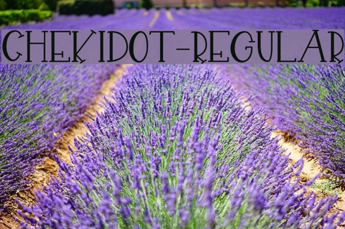 CHEKIDOT-Regular Font examples