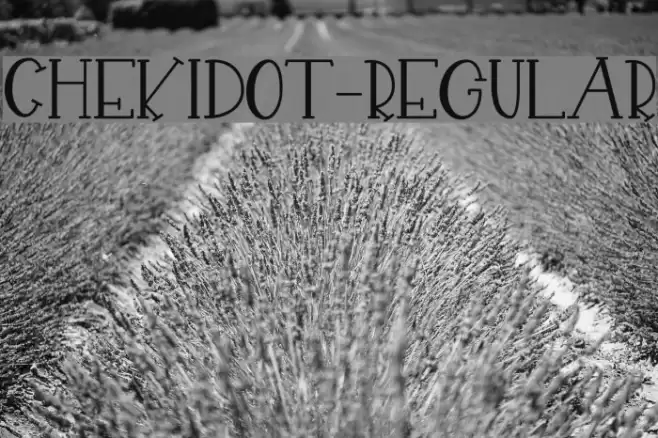 CHEKIDOT-Regular Font examples