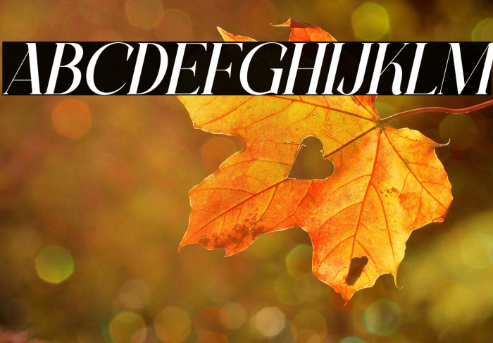 CHELON Italic Example 1