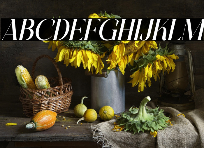 CHELON Italic Example 3