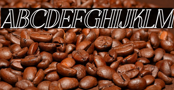 CHELON OUTLINE Italic Example 2