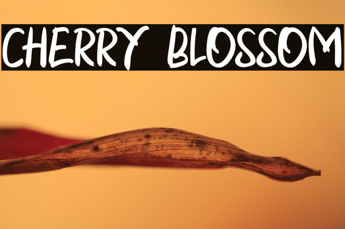 CHERRY BLOSSOM Example 2