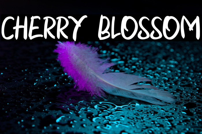 CHERRY BLOSSOM Example 3