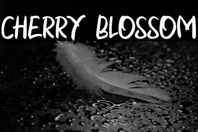 CHERRY BLOSSOM Caratteri examples