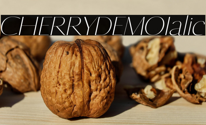 CHERRY DEMO Italic Example 1