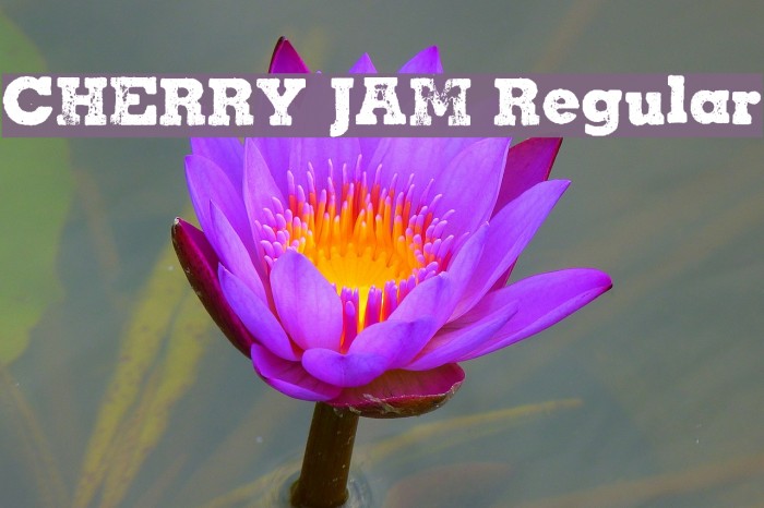 CHERRY JAM Regular Font examples