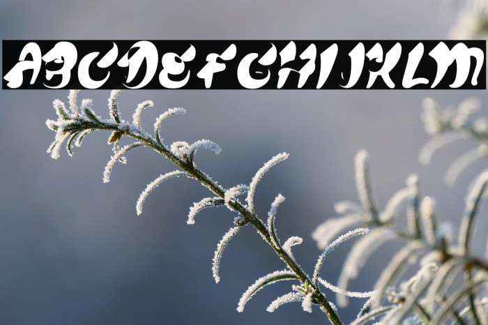 CHEWMEPERSONALUSE-BOLD Example 1