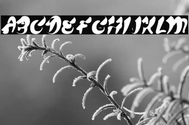 CHEWMEPERSONALUSE-BOLD Font examples