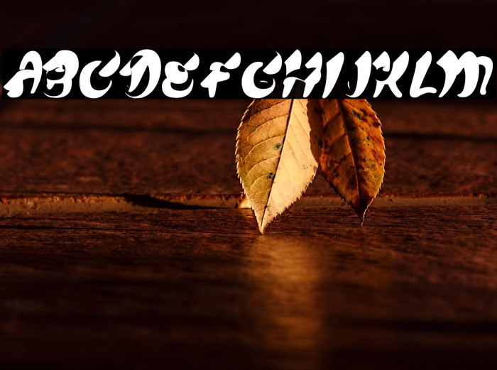 CHEWMEPERSONALUSE-BOLD Example 2