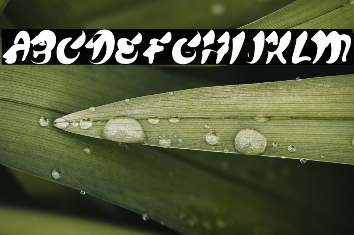 CHEWMEPERSONALUSE-BOLD Example 3