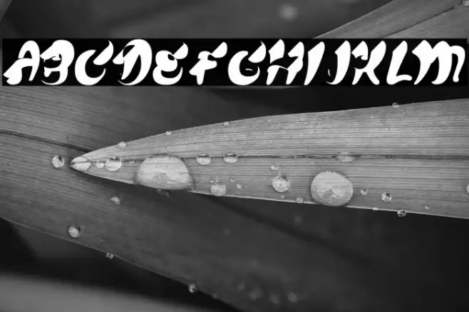 CHEWMEPERSONALUSE-BOLD Font examples