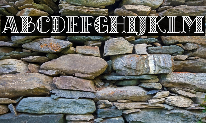 CHICAGO moonshine demo Regular Example 3