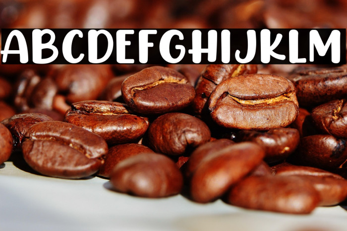 CHICKEN Pie Example 3