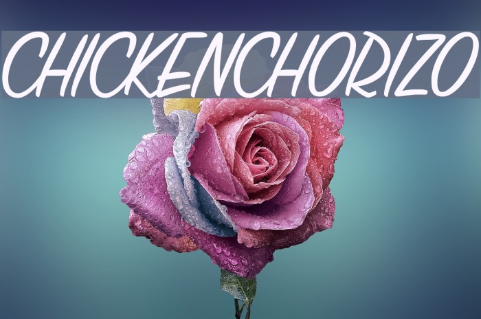 CHICKENCHORIZO Шрифта examples