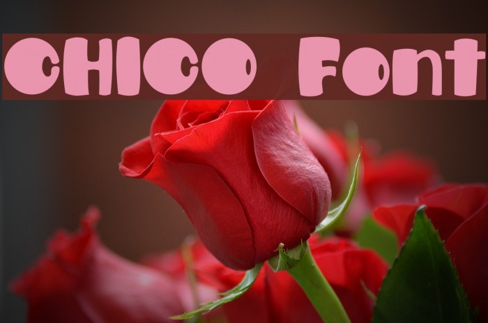 CHICO Font examples