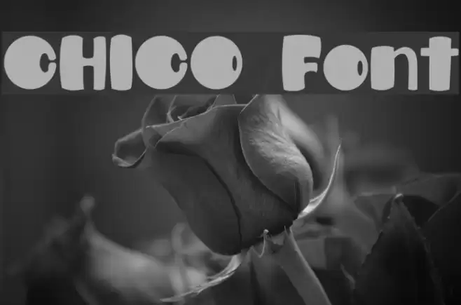 CHICO Font examples