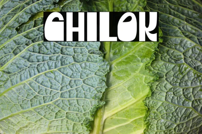 CHILOK Example 2