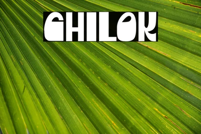 CHILOK Example 3