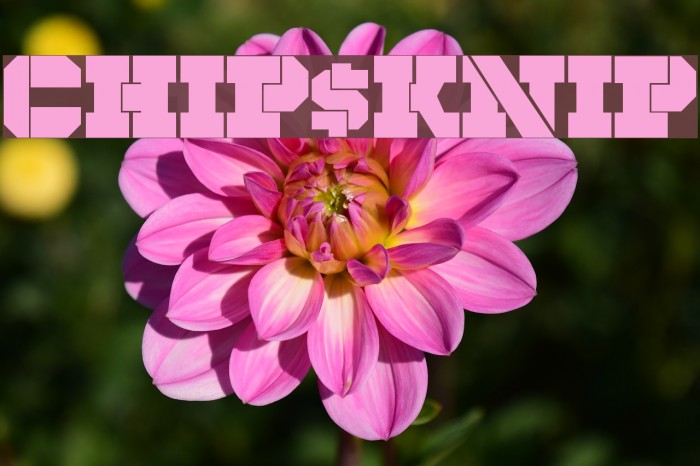 CHIP KNIP Font examples