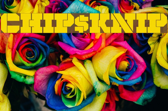 CHIP KNIP Font examples