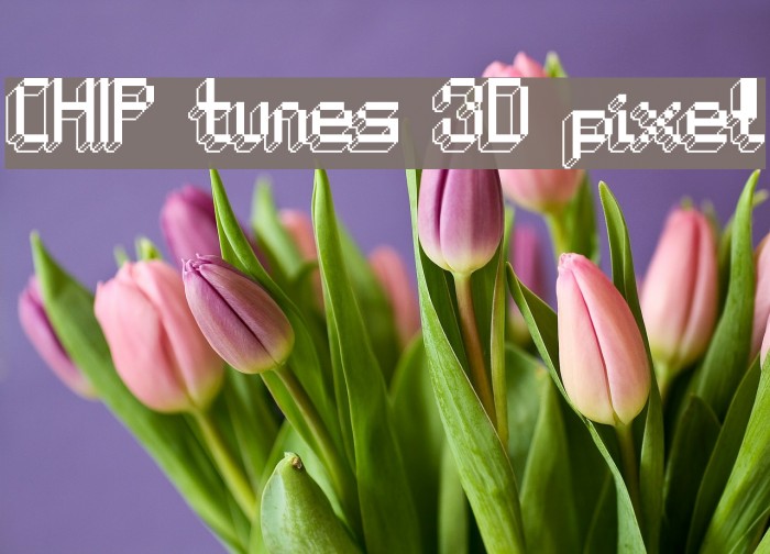 CHIP tunes 3D pixel Font examples