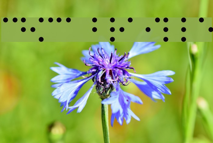 CHMC Braille Font examples