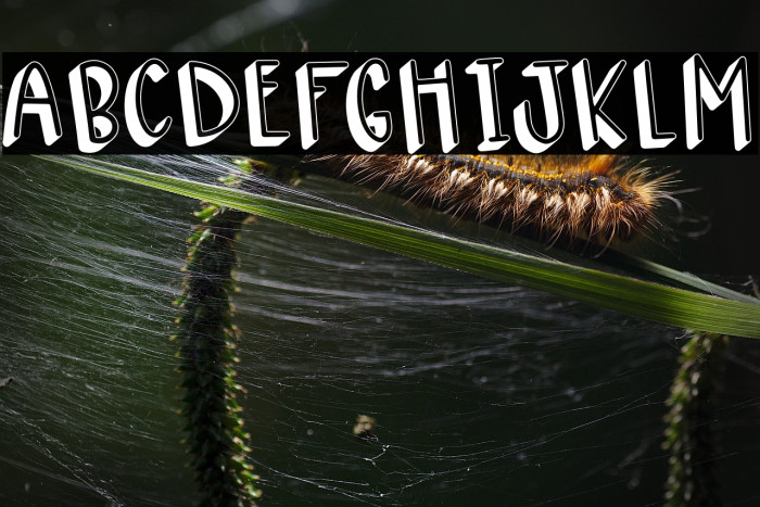 CHOCO RUM CAKE Example 2