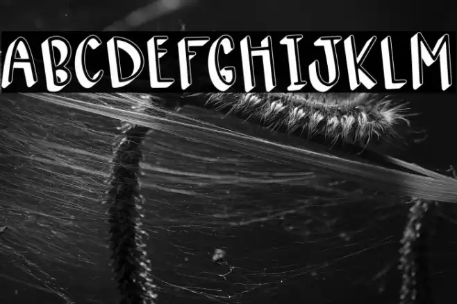 CHOCO RUM CAKE Font examples