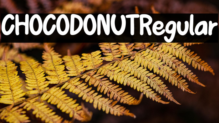 CHOCODONUTRegular Example 2