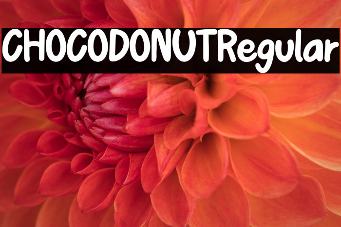 CHOCODONUTRegular Example 3