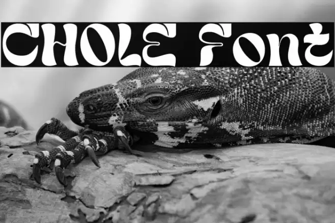 CHOLE Шрифта examples