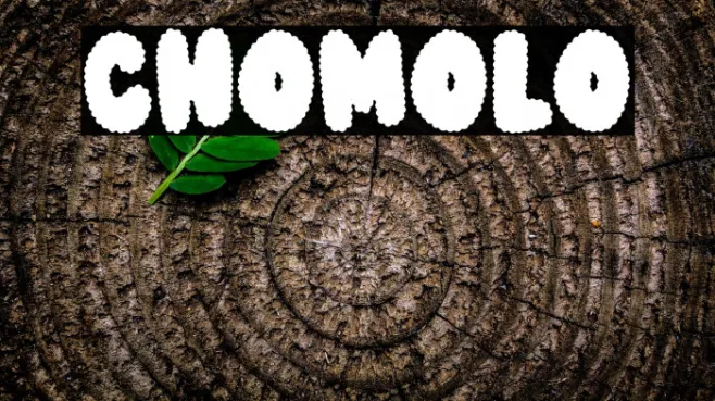 CHOMOLO Example 1