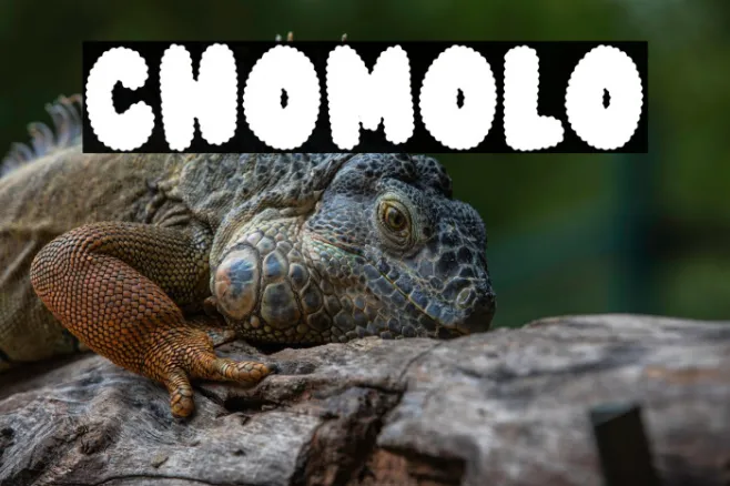 CHOMOLO Example 3