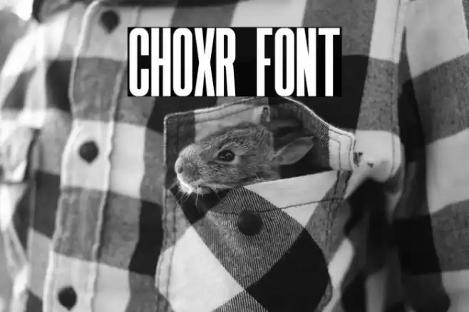 CHOXR Font examples