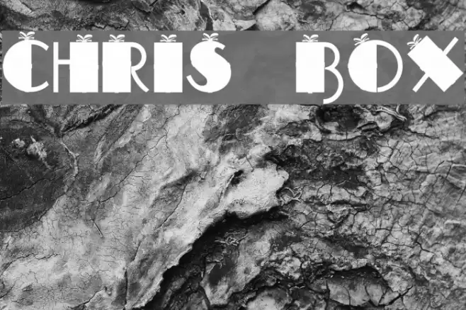 CHRIS BOX Font examples