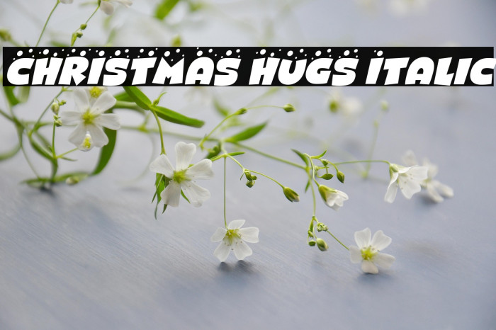 CHRISTMAS HUGS Italic Example 2